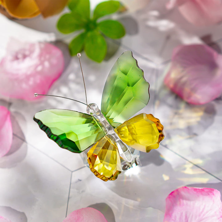 H&amp;D Crystal Butterfly Collectible Present, Handmade Art Glass Animal Figurine, Gift Boxed