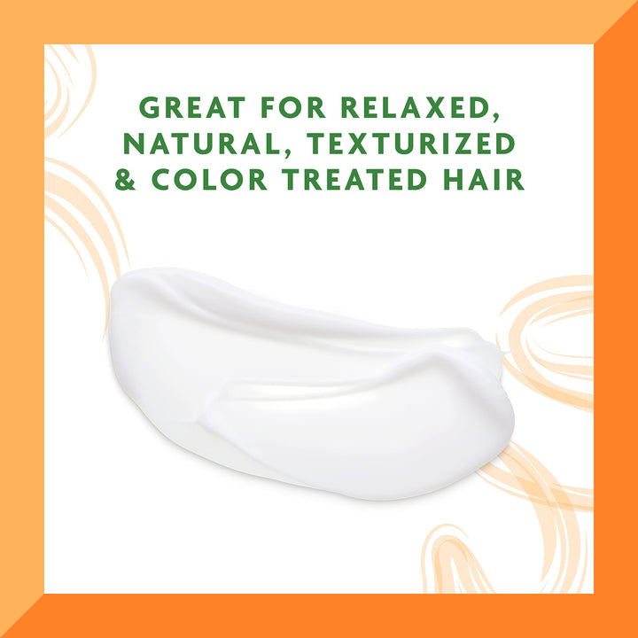 Argan Oil Leave-In Conditioning Repair, Cream 16 Ounce