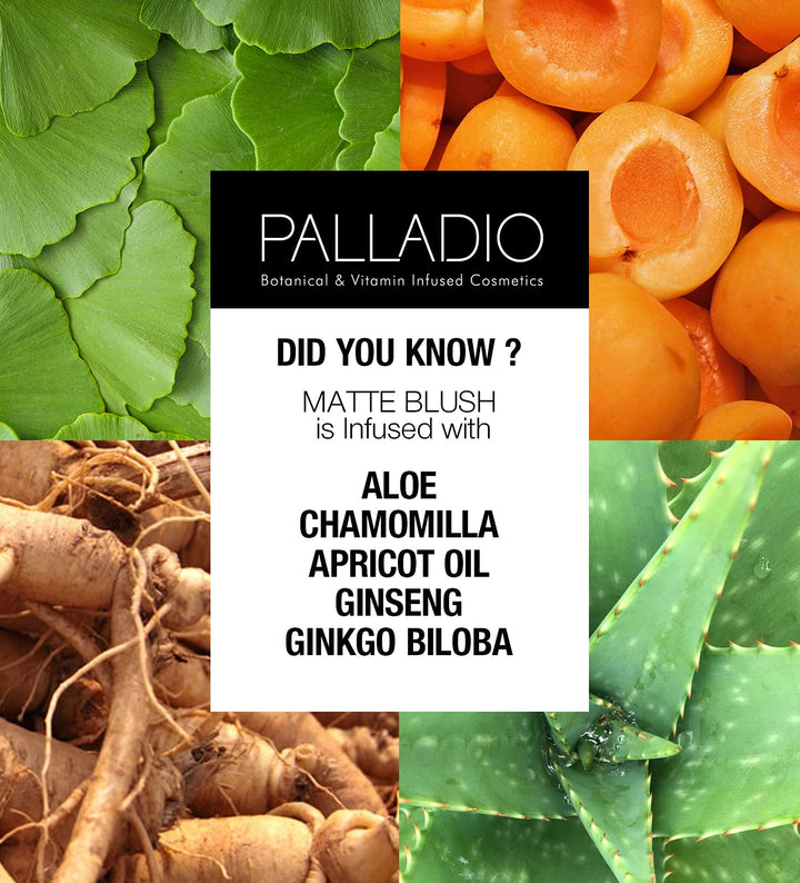 PALLADIO BEAUTY MATTE BLUSH - BAYBERRY, 6 g (0.21 oz)