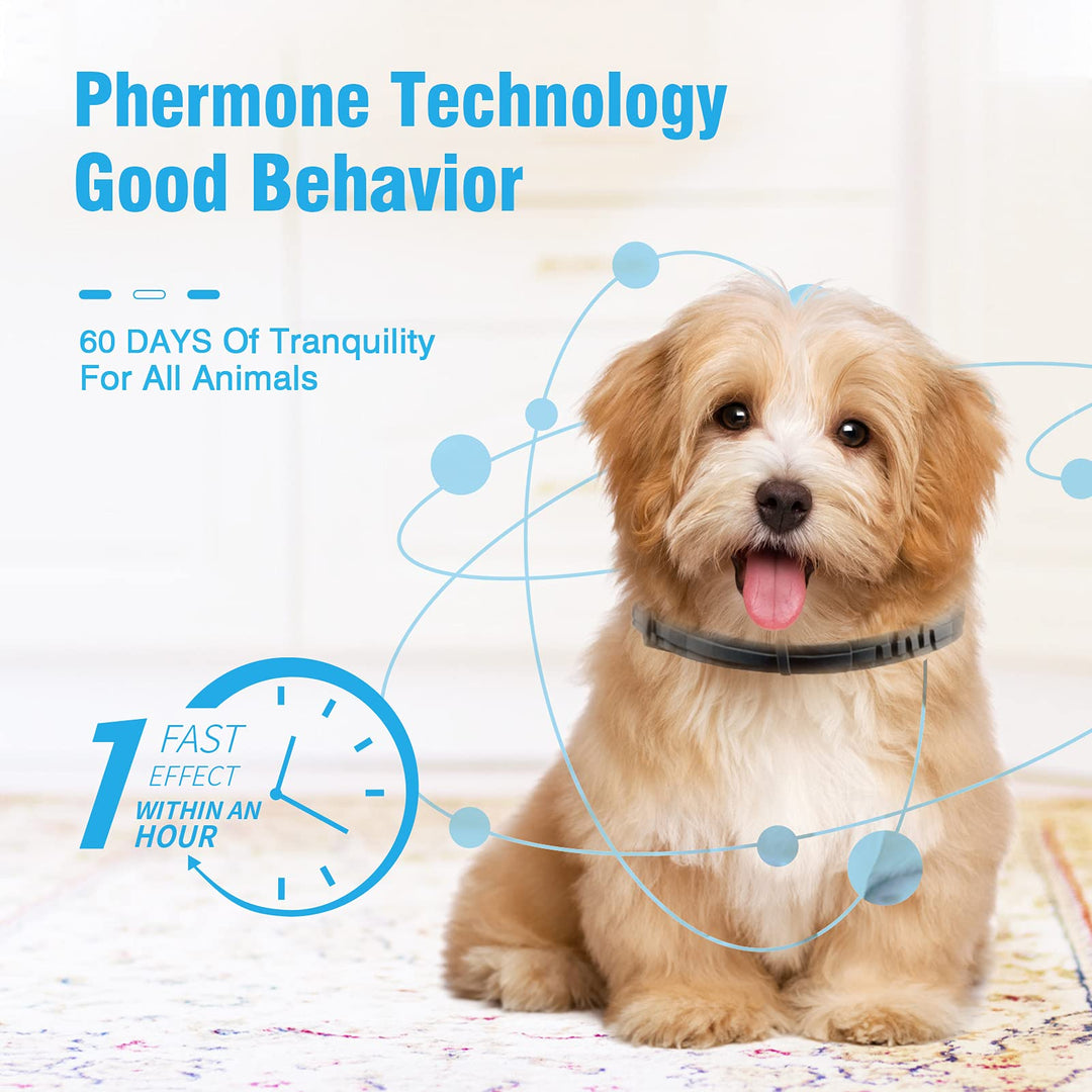 Calming Collar for Dogs 3 Packs Pheromone Collar Calm Anxiety Relief 60 Days Collar for Dog and Puppy Stress Reliever Relaxing Comfortable Collar Breakaway Design Gray Adjustable Size Up to 25 Inches