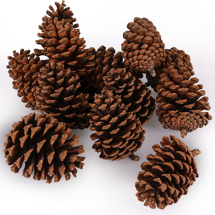 JOHOUSE 3.5-5Inch Natural Pine Cones, Large Pinecone,Ch