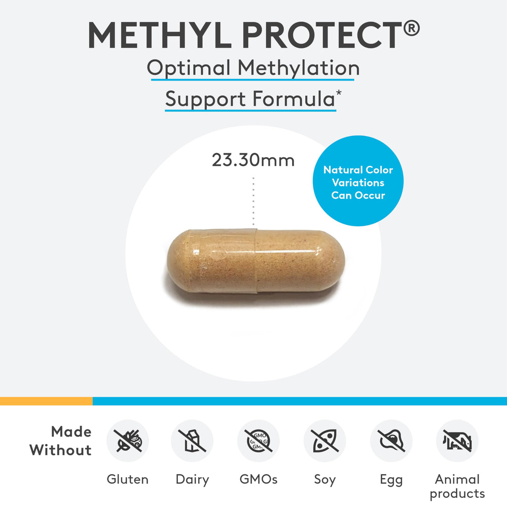Methyl Protect - Optimal Methylation Formula with Methyl Folate, Vitamin B12 (Methylcobalamin b12), Riboflavin + B6 Vitamins - Cognitive, Homocysteine + Heart Health Supplements (120 Capsules)