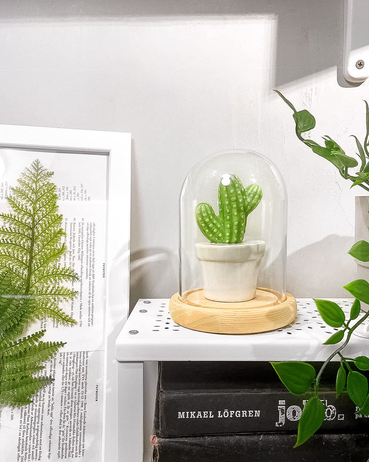 Ivolador 4.9 x 3.1 Glass Display Cloche Dome with Solid Wood Base Large Size Office Home Decoration