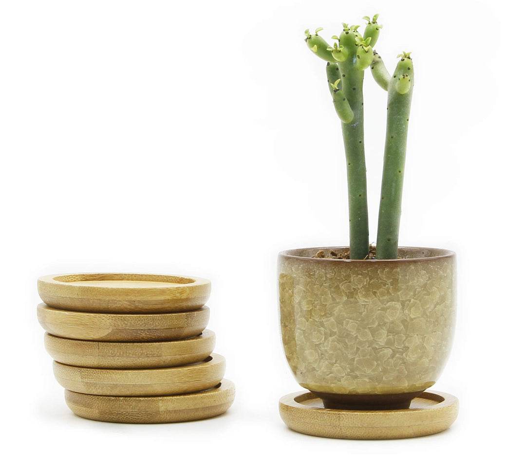 Ice Crack Zisha Serial Ceramic Flowing Glaze Succulent Plant Pot (6pcs with Bamboo Drip Tray)