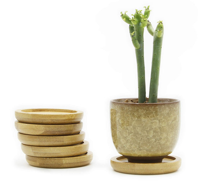 Ice Crack Zisha Serial Ceramic Flowing Glaze Succulent Plant Pot (6pcs with Bamboo Drip Tray)