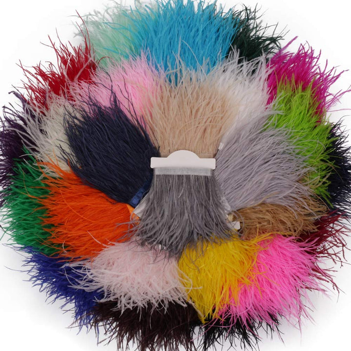Ostrich Feathers Sewing Fringe Trim Ribbon for Crafts Clothes Accessories Latin Wedding Dress DIY 2 Yards 4-6inch Width (Black)