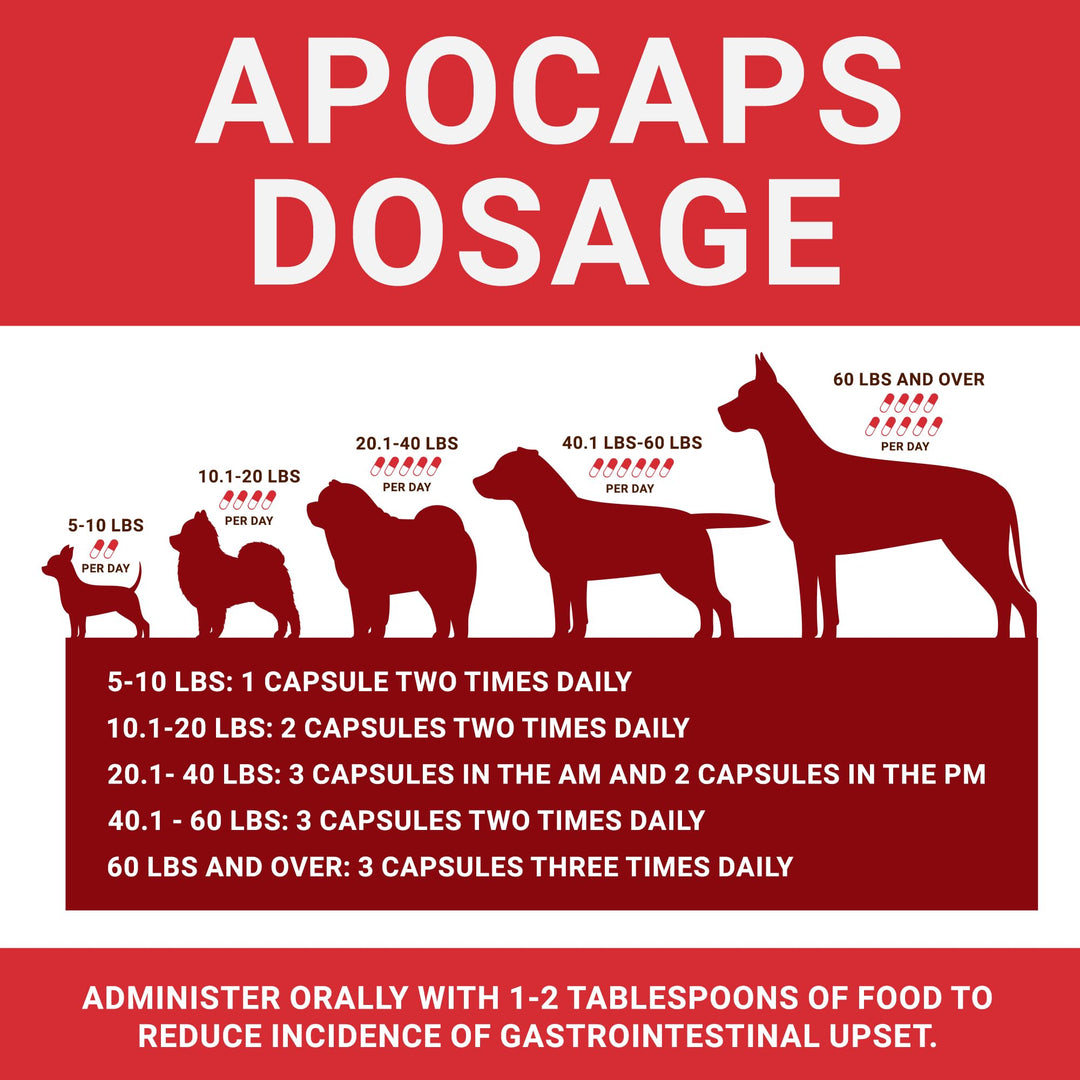 Apocaps CX Apoptogen Formula for Dogs (90 Capsules) - Supports Normal Levels of Apoptosis + Human Grade Ingredients Including Citrus Bioflavonoids, Silymarin, Curcumin and Turmeric + Biovadex