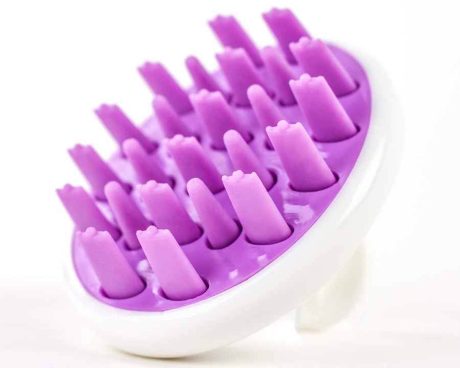 Zyllion Scalp Massager Dandruff Brush - For Exfoliating