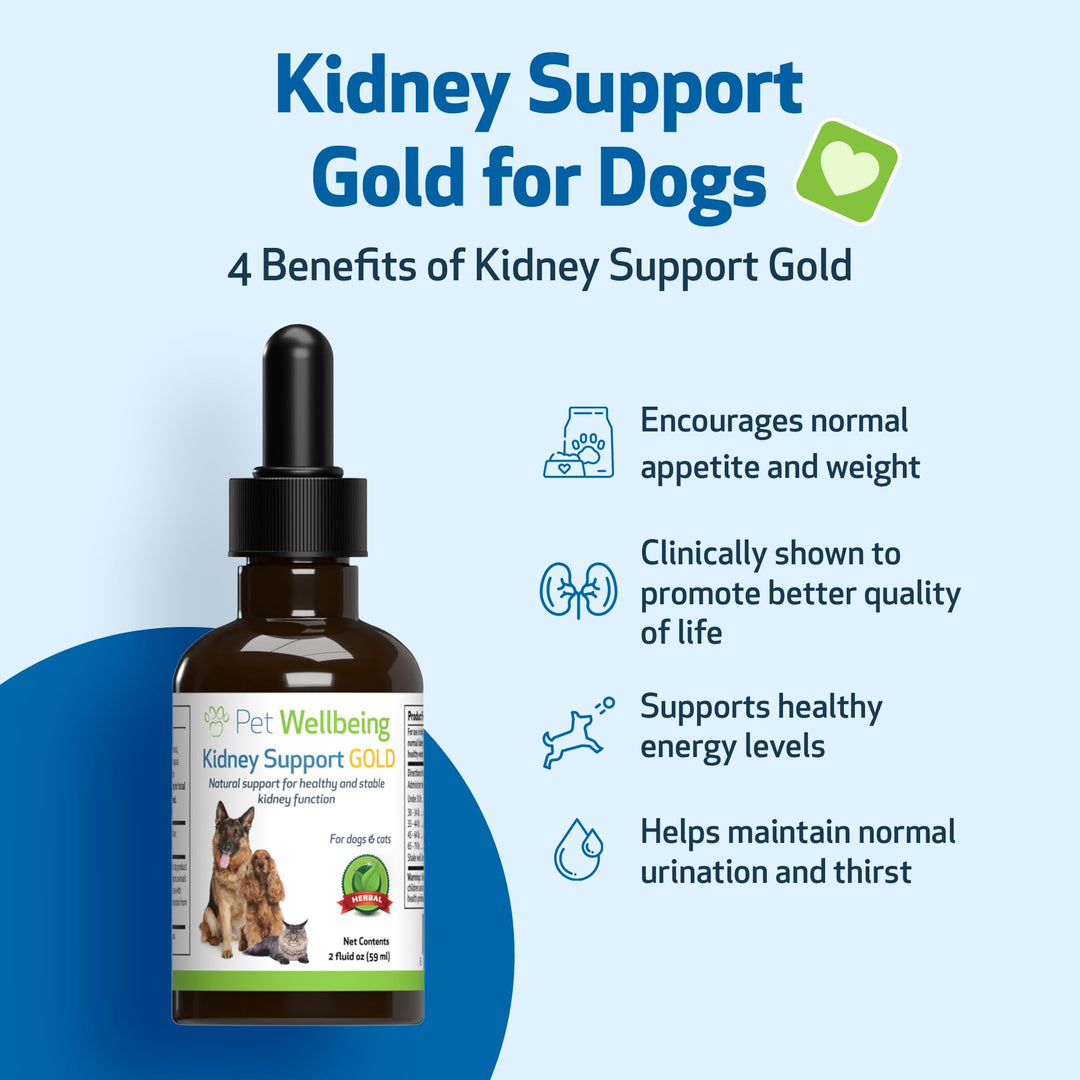 Kidney Support Gold for Dogs - Supports Healthy Kidney Function, Fluid Balance, Energy Levels, Rehmannia, Dong Quai - Veterinarian-Formulated Herbal Supplement 2 oz (59 ml)