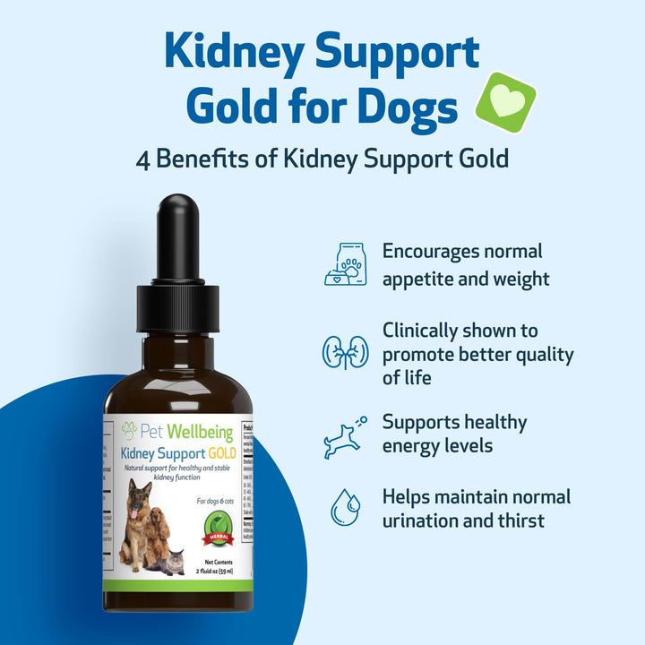 Kidney Support Gold for Dogs - Supports Healthy Kidney Function, Fluid Balance, Energy Levels, Rehmannia, Dong Quai - Veterinarian-Formulated Herbal Supplement 2 oz (59 ml)