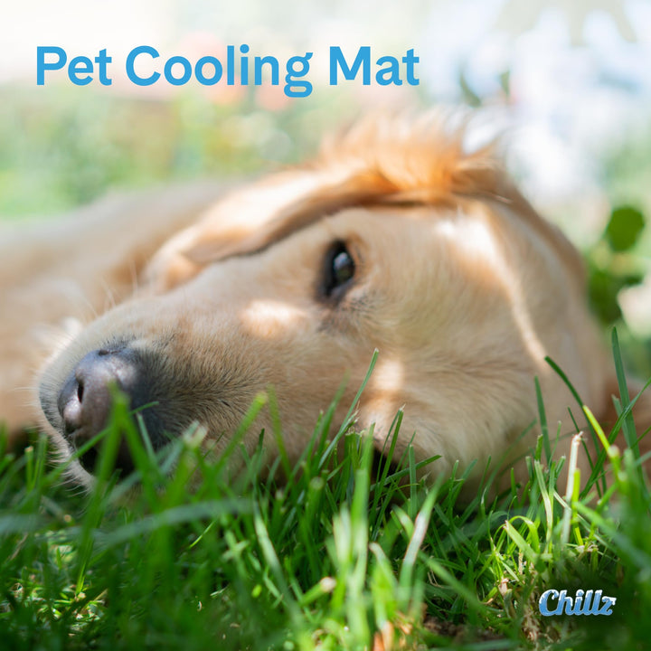Chillz Gel Mat, Large - Pressure-Activated Cooling Pad for Pets - Non-Toxic, No Water or Refrigeration Needed - Ideal for Home, Travel &amp; Crates