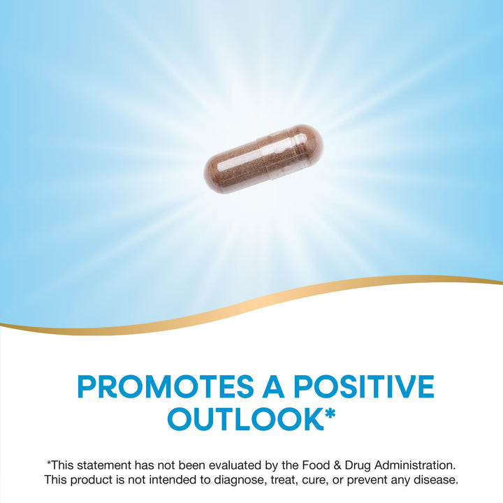 Nature’s Way St. John’s Wort Premium Extract – Promotes a Positive Outlook* - With Rosemary Leaf &amp; Spirulina - Non-GMO Project Verified &amp; Vegan - 90 Capsules