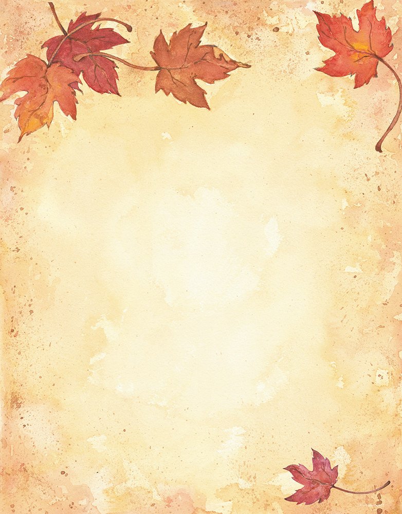 Fall Leaves Letterhead, 25 count, 11x8.5 (2015055)