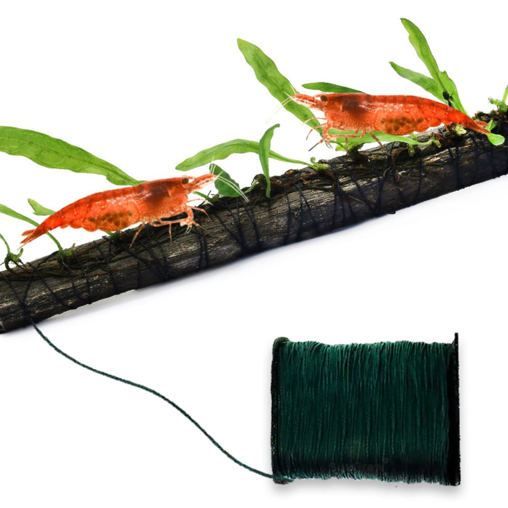 Plant Cotton Thread, 20 Meters, Green Color Similar to Willow Plant, Disintegrates Eventually, Securely Attaches Floating Plants