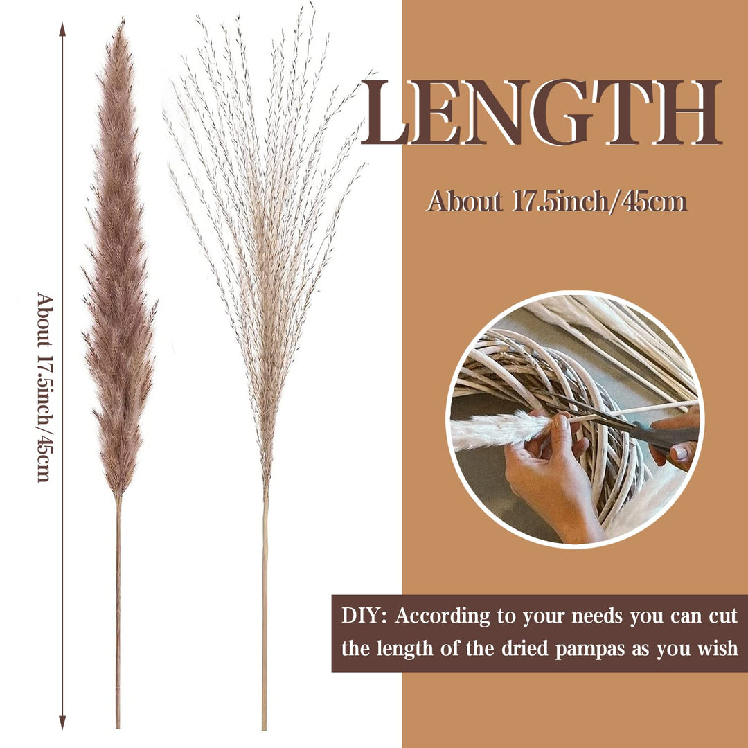 Pampas Grass Decor, 80pcs Natural Dried Pampas Grass - Brown Pampas Mixed Reed Grass for Boho Decor, Fluffy Pampas Grass Bouquet/Pompas Floral for Flower Arrangements Wedding Home Decor