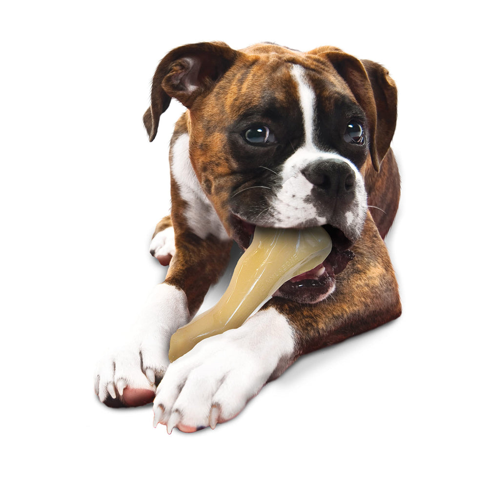 Power Chew Femur Bone BIG Dog Chew Toy Chicken XX-Large/Monster - 50++ lbs. (1 Count)