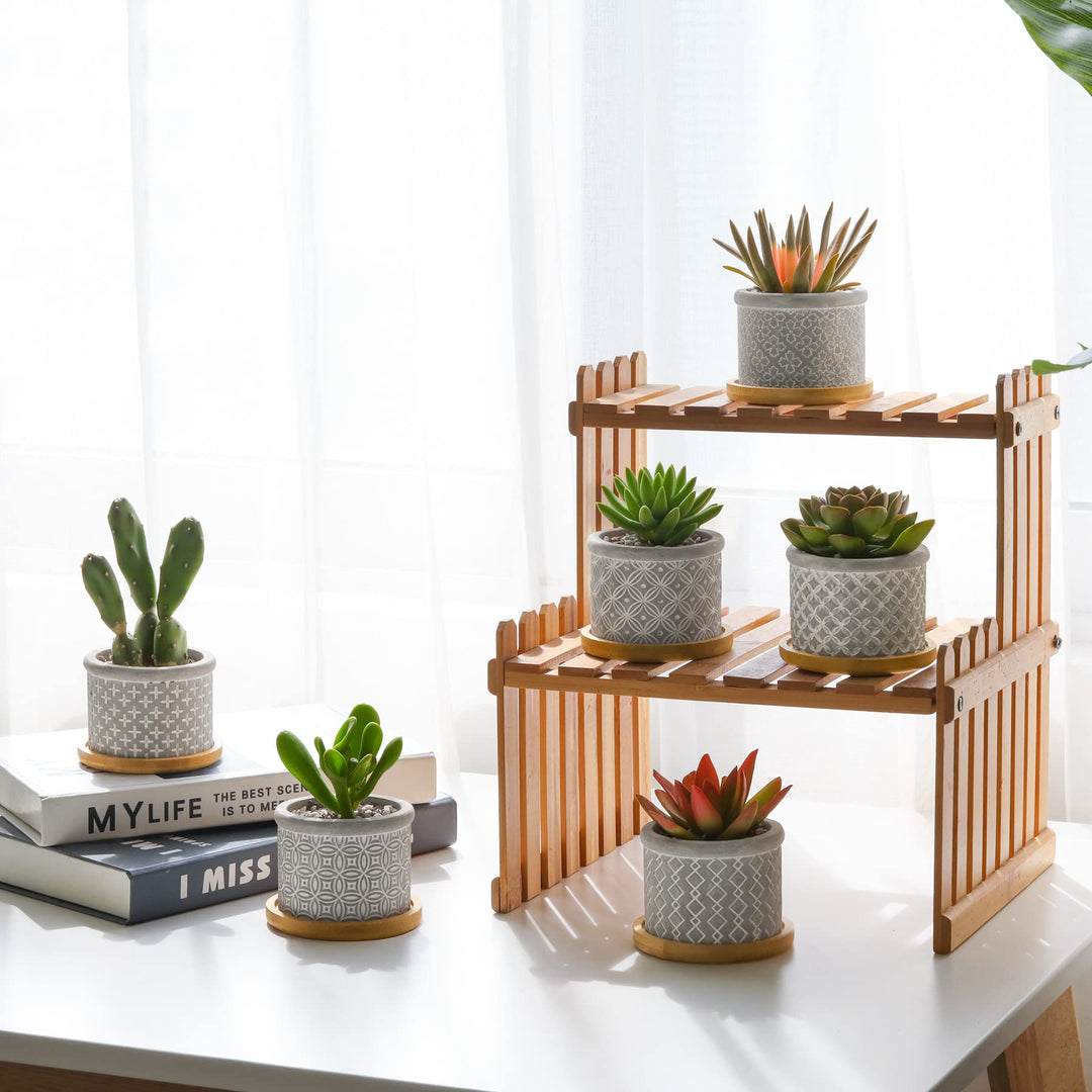2.5 Inch Cement Succulent Pot with Bamboo Tray Set of 3, Small Grey Concrete Planter Garden Cactus Plant Herb Container for Home and Office Decoration Birthday Wedding