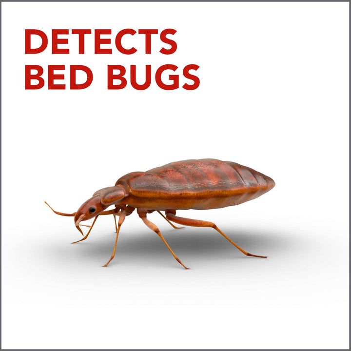 Raid Bed Bug Detector &amp; Trap, 8 ct