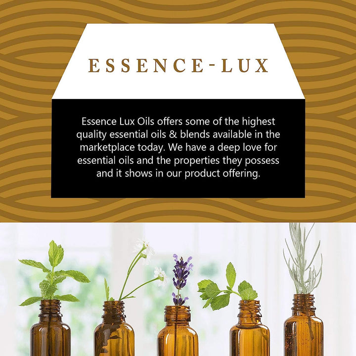 Essence-Lux Helichrysum, 60Ml: Helichrysum Essential Oi
