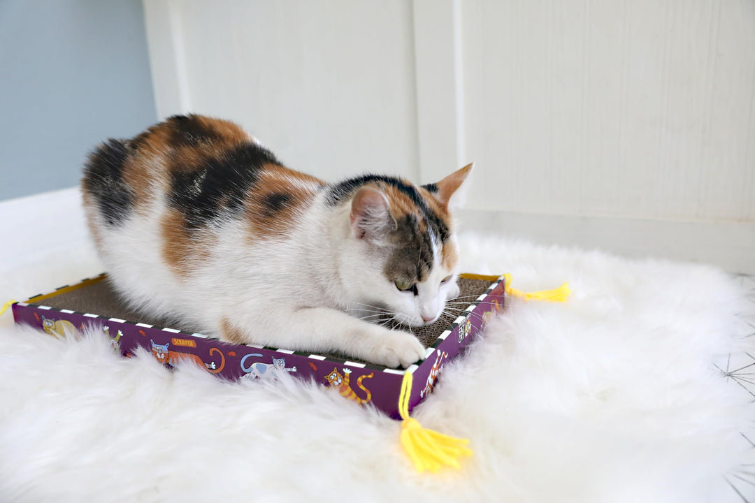 FAT CAT Big Mama&#39;s Scratch Cat Toy Box Includes 100% Organic Catnip Grown In The USA