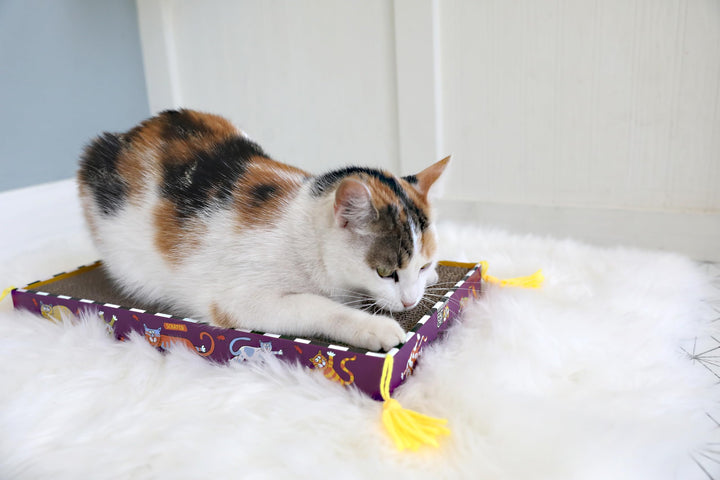 FAT CAT Big Mama&#39;s Scratch Cat Toy Box Includes 100% Organic Catnip Grown In The USA