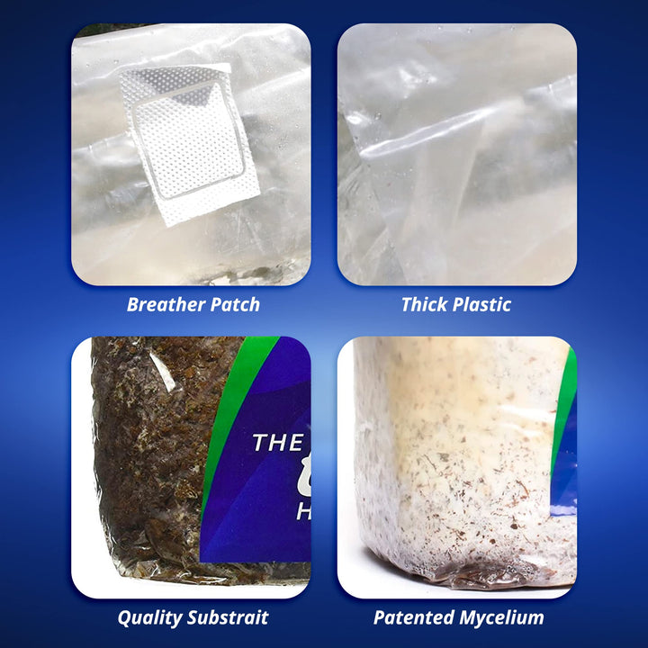 Homegrown CO2 Original - CO2 Bag for Indoor Grow Rooms &amp; Tents - Great for Indoor Grow Rooms - CO2 for Grow Tents - 4 lbs.