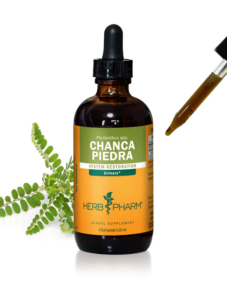Chanca Piedra Liquid Extract for Urinary System Support - 4 Ounce