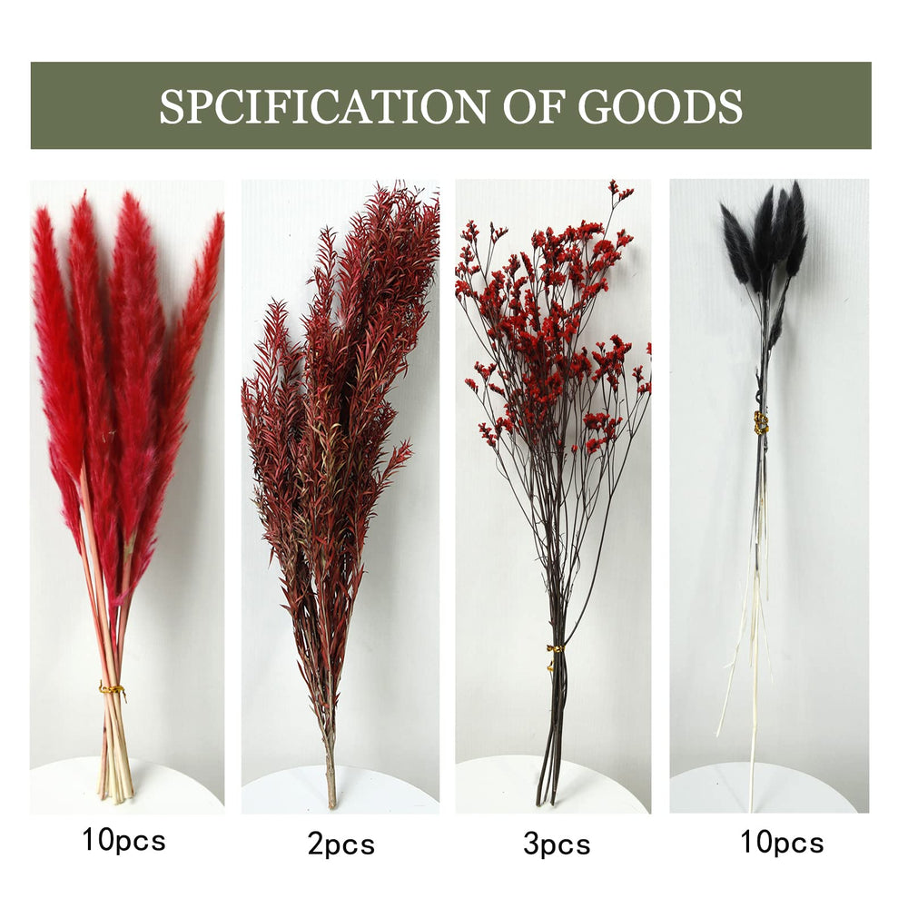 18 Dried Wine Red Pampas 10PcsRabbit Tail Grass 10PcsMelaleuca Bracteata 2PcsCrystal Grass 3Pcs, Dried Flowers Bouquet for Wedding Floral Arrangements Home