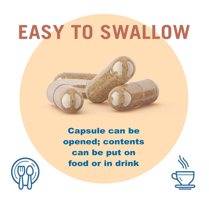 – TriEnza – 180 Capsules (90 Doses) – Broad-Spectrum Enzymes for Digestive Intolerances – Supports Digestion of Gluten, Casein, Soy, Proteins, Carbohydrates, Sugars, Fats &amp; Polyphenols