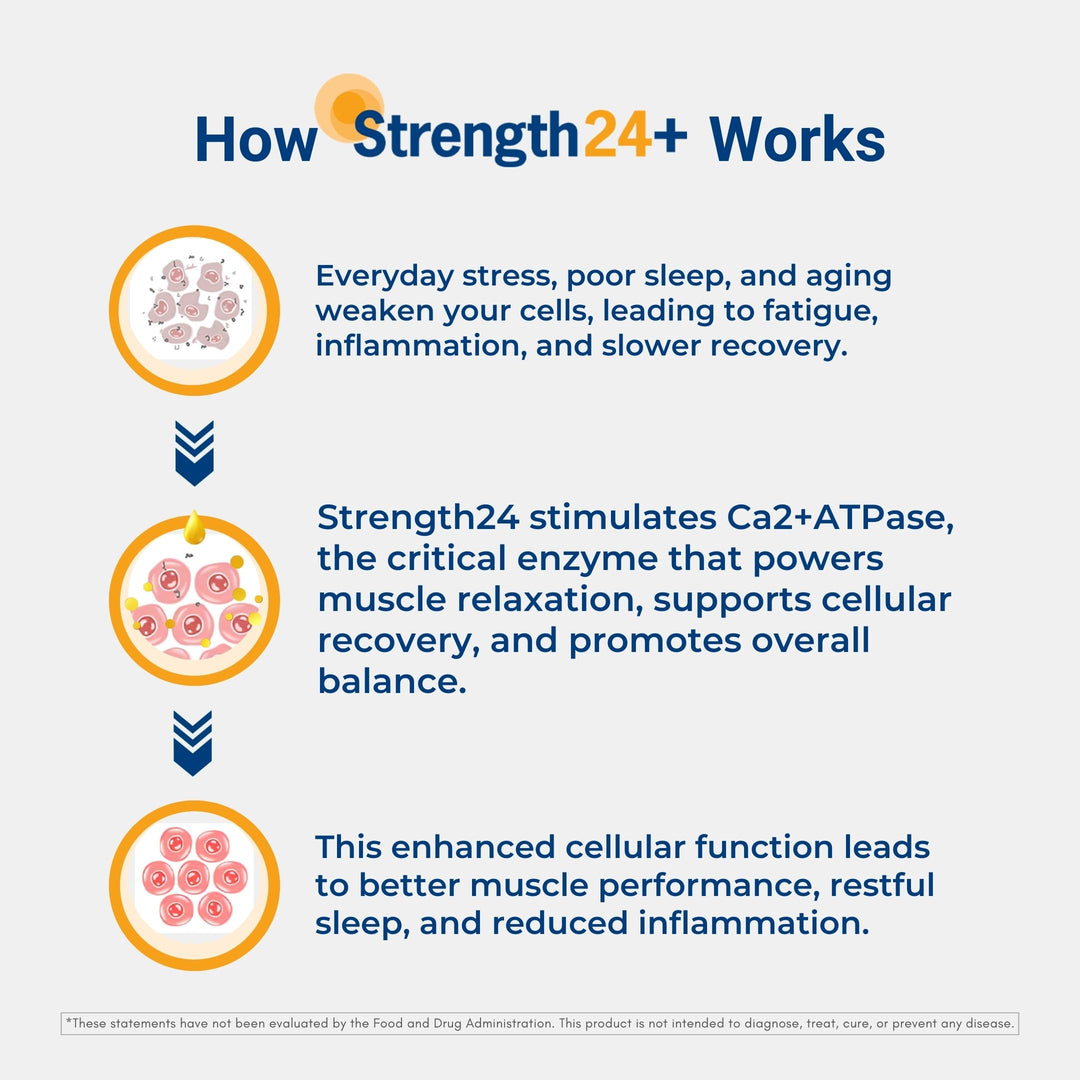 + Dietary Supplement for Cellular Health, Muscle Recovery, and Vibrant Aging