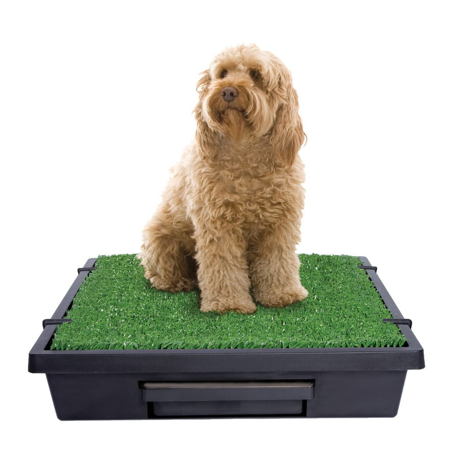 Pet Loo Portable Dog Potty - Pet Toilet Alternative for Puppy Pads - Medium - Perfect for House Training - Easy-to-Clean Grass Mat