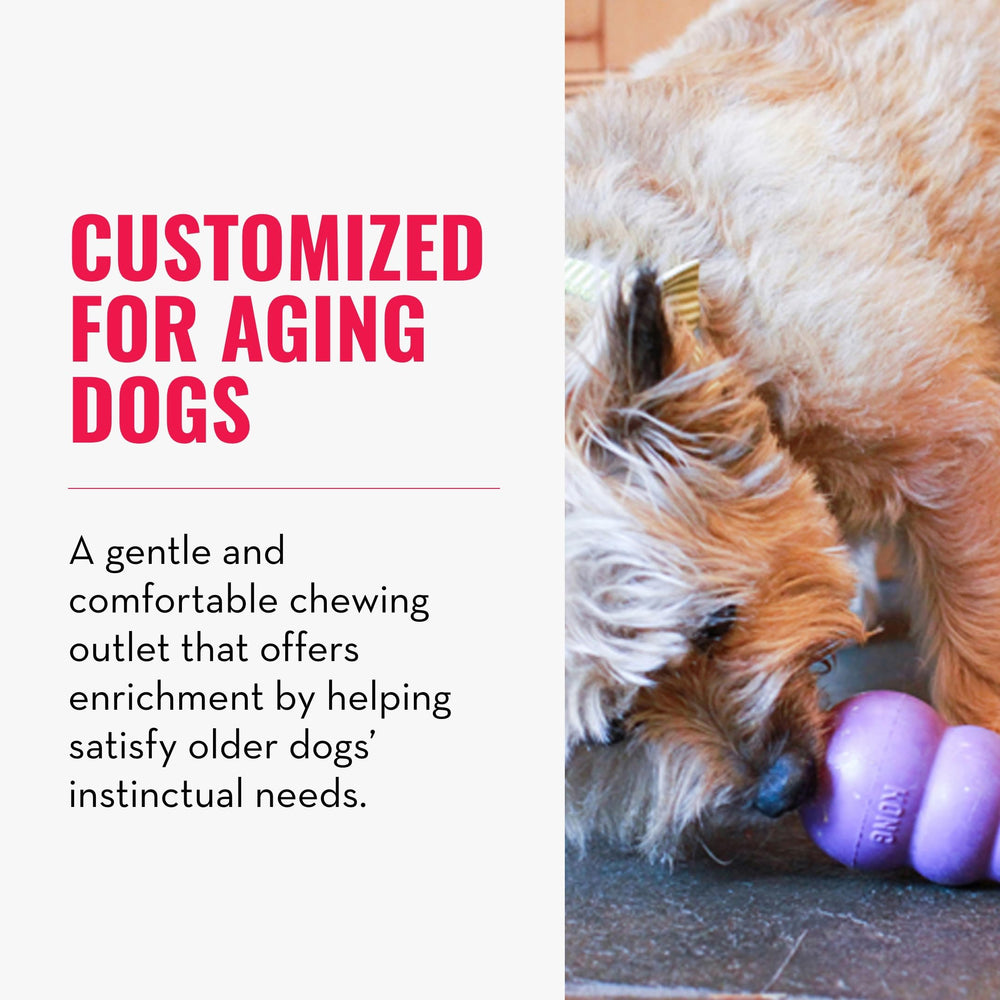 Senior - Dog Toy with Gentle, Natural Rubber - Durable Dog Toy for Older Dogs - Use Treats with Stuffable Chew Toy - Treat Toy for Chewing & Fetching - for Large Dogs