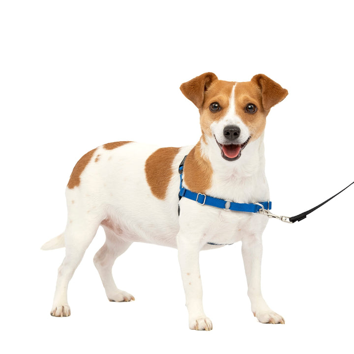 Easy Walk No-Pull Dog Harness - The Ultimate Harness to Help Stop Pulling - Take Control &amp; Teach Better Leash Manners - Helps Prevent Pets Pulling on Walks, Small, Royal Blue/Navy Blue
