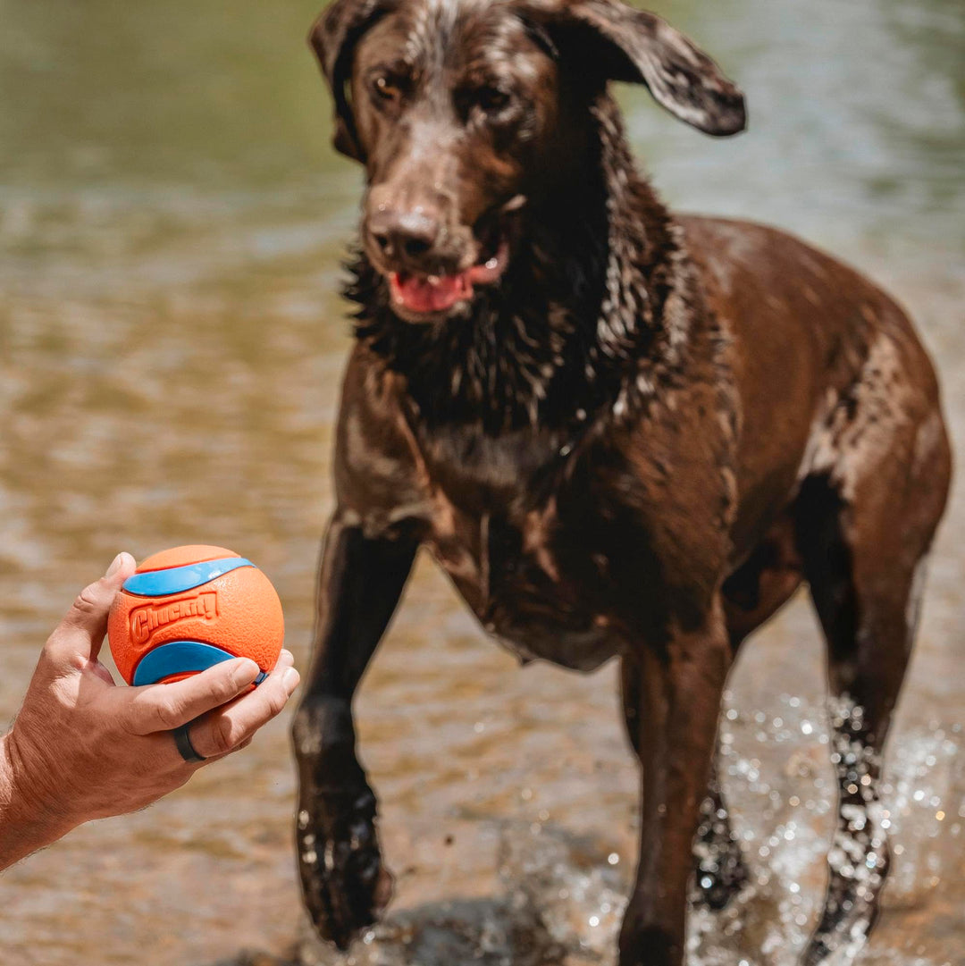 Ultra Ball Dog Toy - Size XXL - For Dogs 100+ lbs - Made from Durable Rubber - Super Bouncy - Floats in Water - 4-inch Diameter - Pack of 1