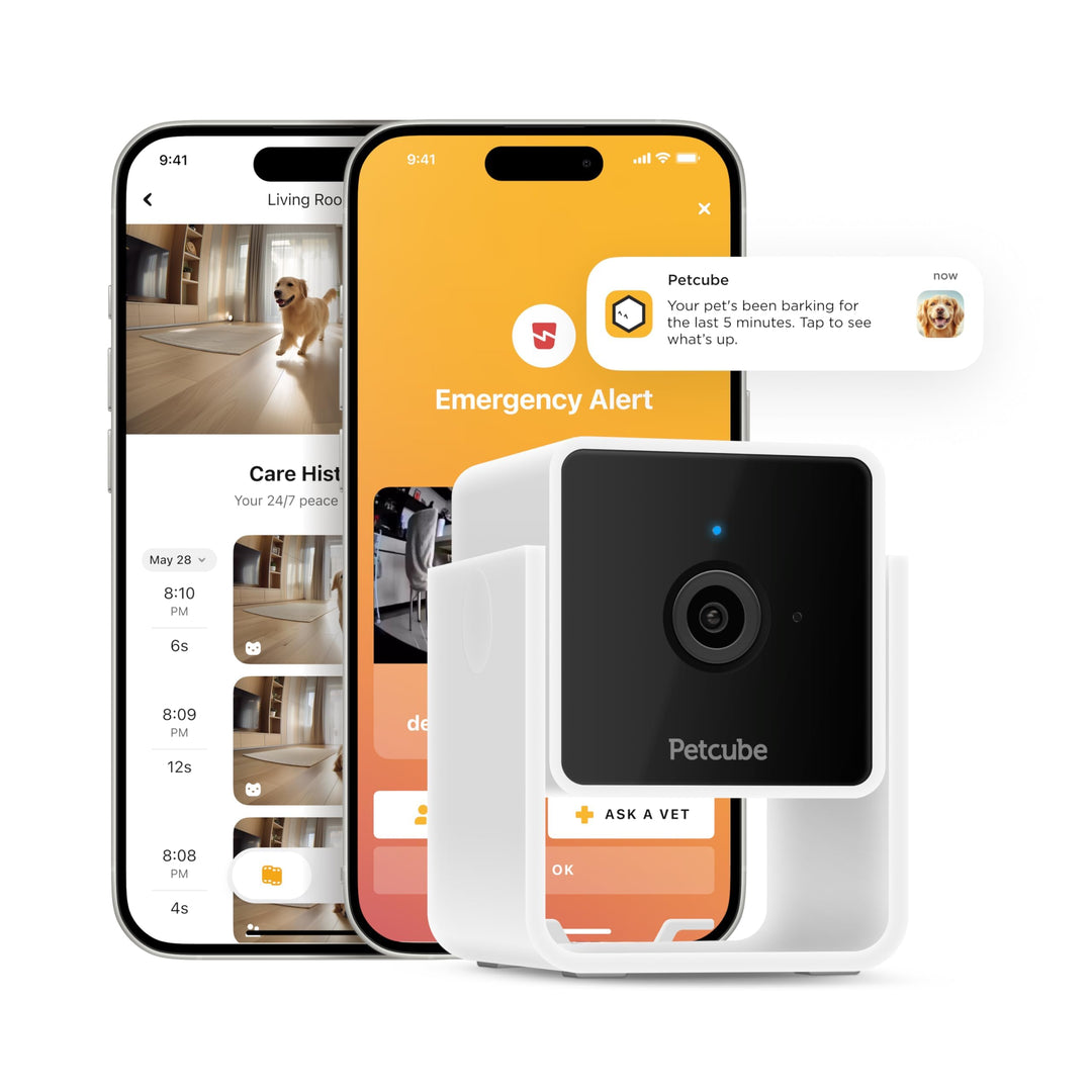 Cam | Indoor Wi-Fi Pet and Security Camera with Phone App, Pet Monitor with 2-Way Audio and Video, Night Vision, 1080p HD Video and Smart Alerts for Ultimate Home Security