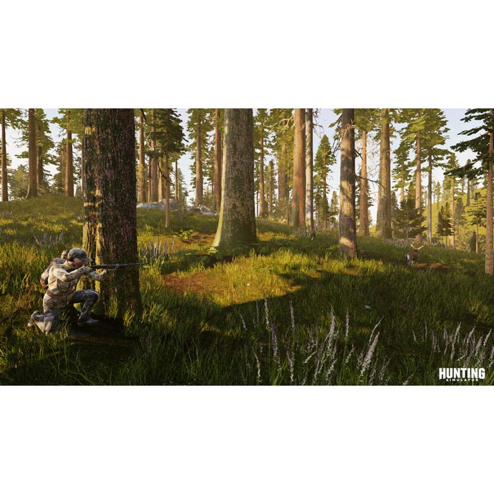 Hunting Simulator - PlayStation 4