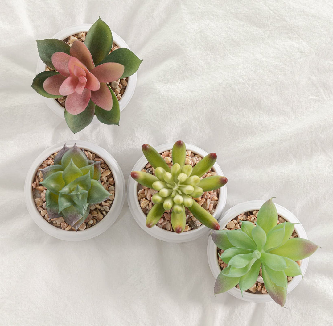 Artificial Succulent Plants in Pots, Fake Plants for Indoors, Home Garden Decor, Cactus Plants Artificial, Fake Cacti, Faux Succulents, Set of 4