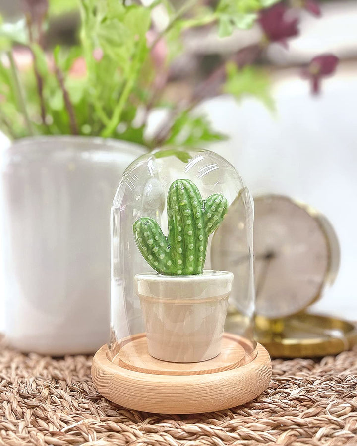 Ivolador 4.9 x 3.1 Glass Display Cloche Dome with Solid Wood Base Large Size Office Home Decoration