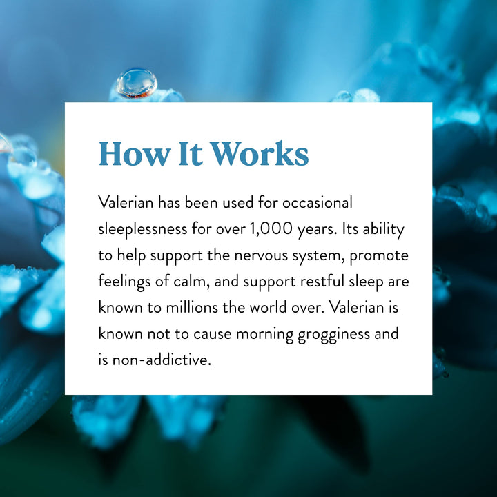 Nature&#39;s Sunshine Valerian Root Extract Time Release, 60 Capsules | Herbal Supplement Promotes Relaxation, Supports Sleep, and Delivers Natural Nervous System Support