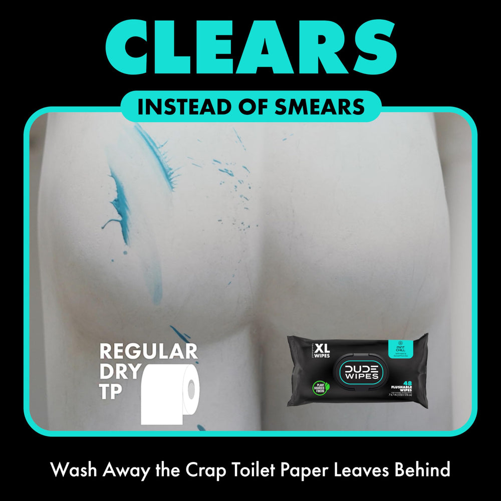 DUDE Wipes Flushable Wet Wipes Dispenser, Mint Chill, 4