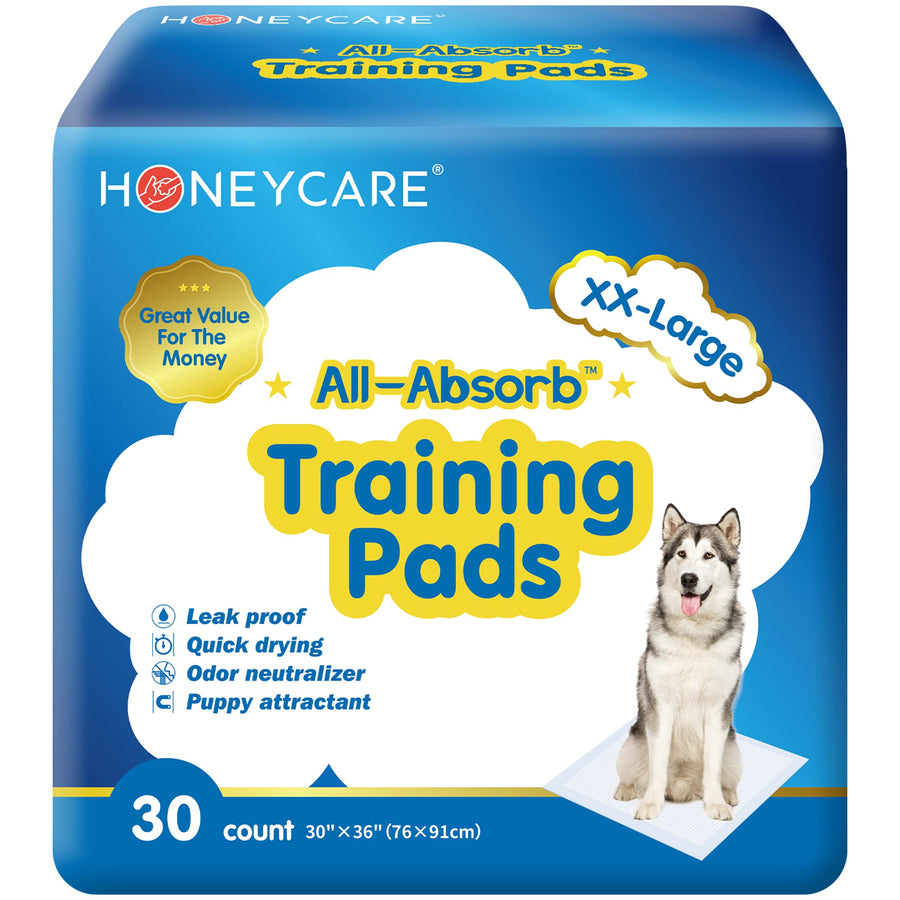 All-Absorb, XXL 30x36, 30 Count, Dog and Puppy Training Pads, Ultra Absorbent and Odor Eliminating, Leak-Proof 5-Layer Potty Training Pads with Quick-Dry Surface, Blue, A39