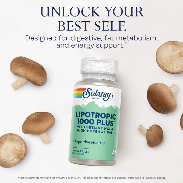 Lipotropic 1000 Plus Vitamin Capsules 100 Count