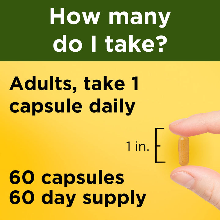 Nature Made Turmeric Antioxidant Herbal Supplement Caps