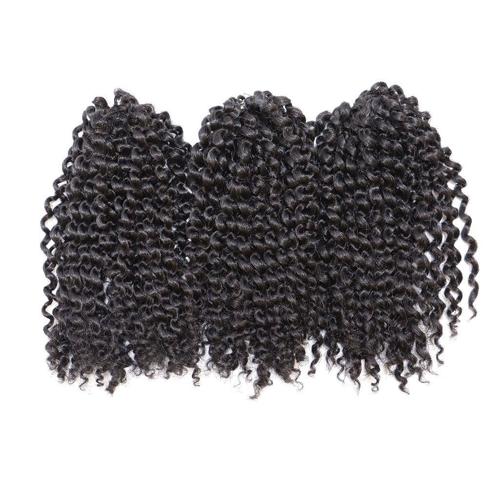 8 inch Crochet Curly Braids Hair 3pcs/pack Black Synthetic Box Braids Hair (#1B)