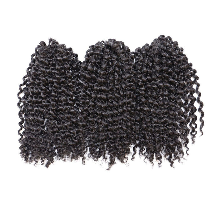 8 inch Crochet Curly Braids Hair 3pcs/pack Black Synthetic Box Braids Hair (#1B)