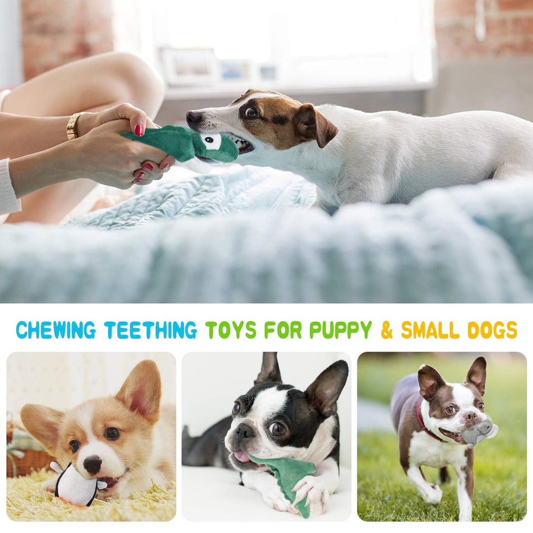 Squeaky Dog Toys for Puppy Small Medium Dogs, Stuffed Samll Dog Toys Bulk with Plush Pet Doggie Toy Set, Cute Safe Pet Chew 12 Pack for Puppies Teething