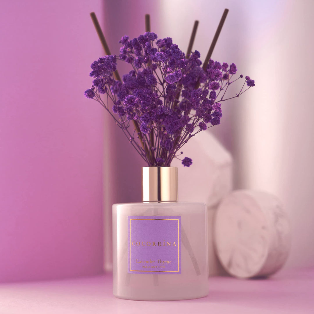 Cocorrína Premium Reed Diffuser Set with Preserved Baby&#39;s Breath &amp; Cotton Stick Lavender Thyme | 6.7oz Scent Fragrance Lavender Oil Diffuser for Bedroom Bathroom Home Décor