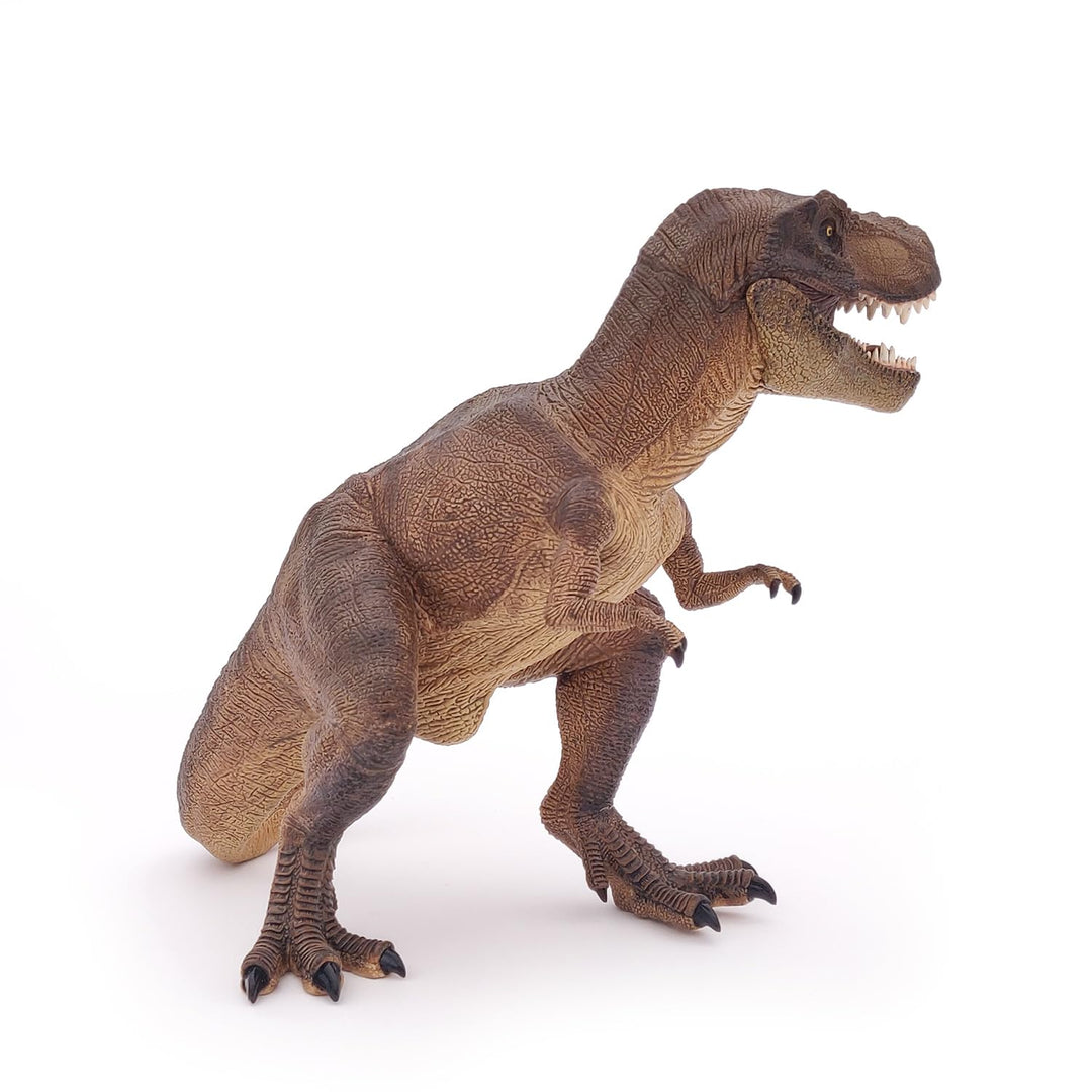 The Dinosaur Figure, Tyrannosaurus