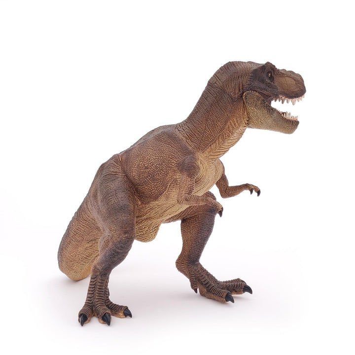 The Dinosaur Figure, Tyrannosaurus