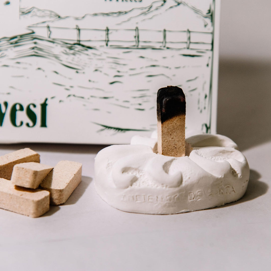 - 7 Scent Sampler Natural Wood Incense with Burner, Includes Piñon, Cedar, Juniper, Hickory, Alder, Mesquite, and Fir Balsam (70 Bricks) - Made in The USA
